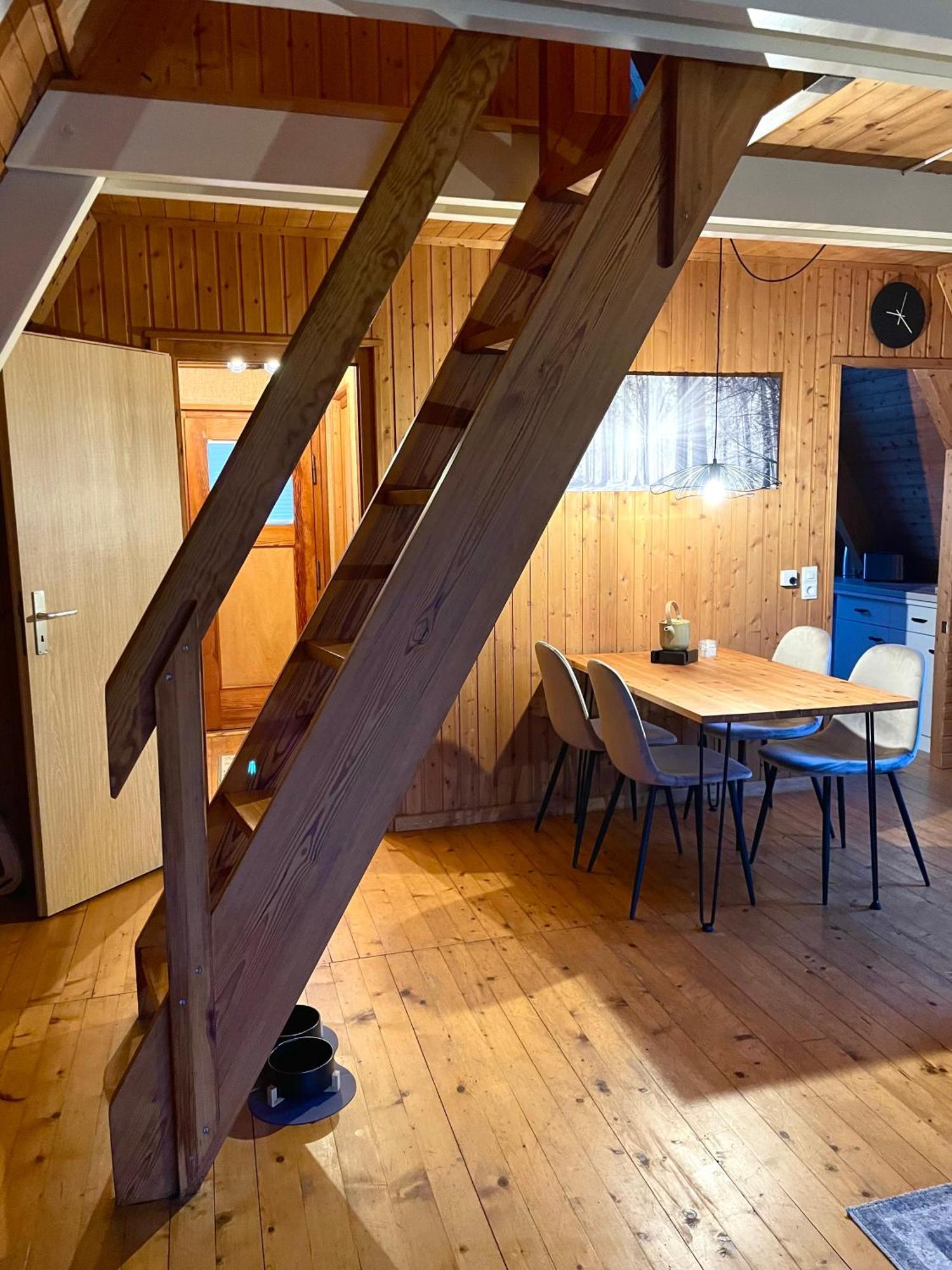 Nur-Dach-Haus Am Alfsee Rieste Eksteriør billede