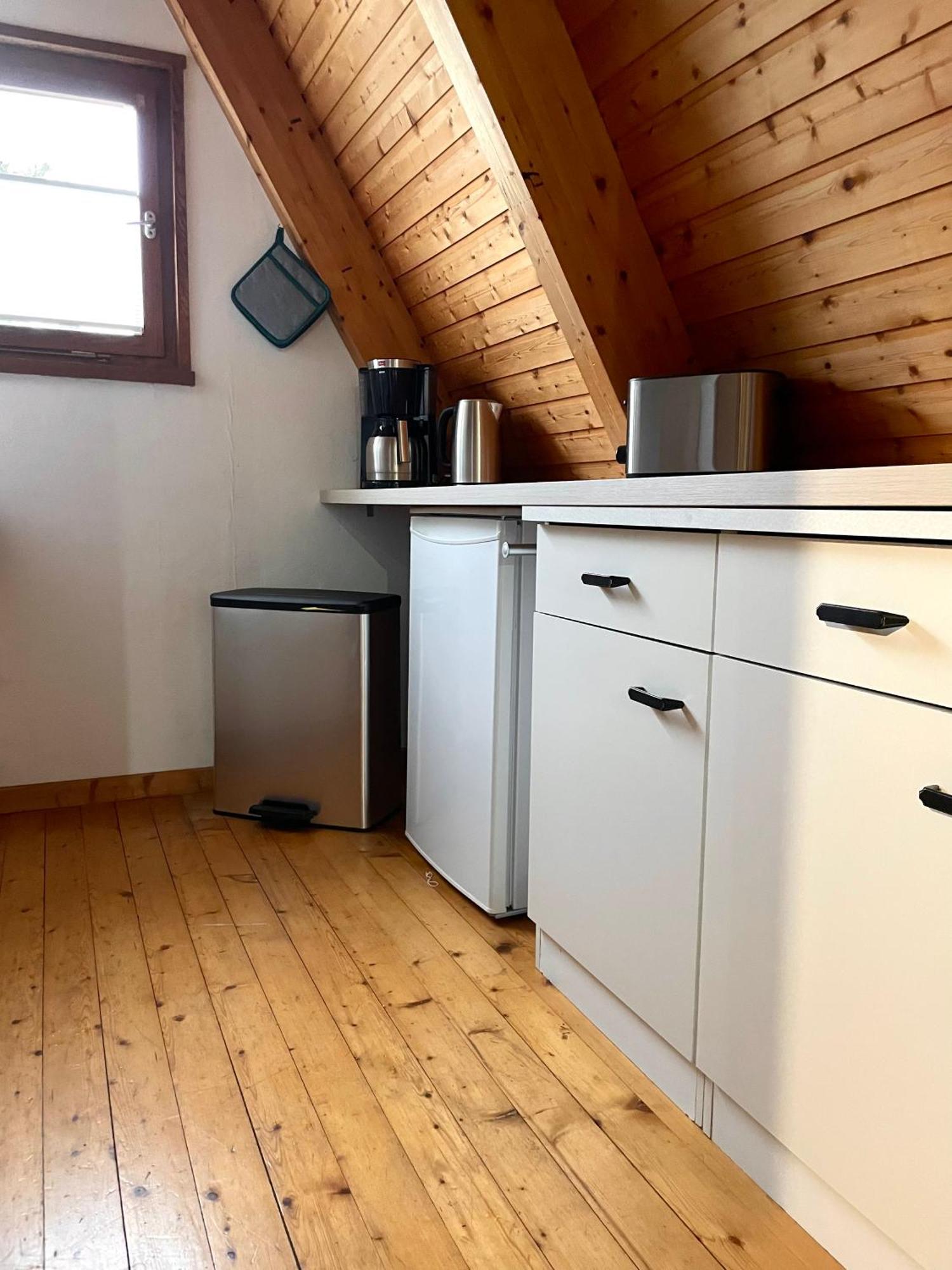 Nur-Dach-Haus Am Alfsee Rieste Eksteriør billede